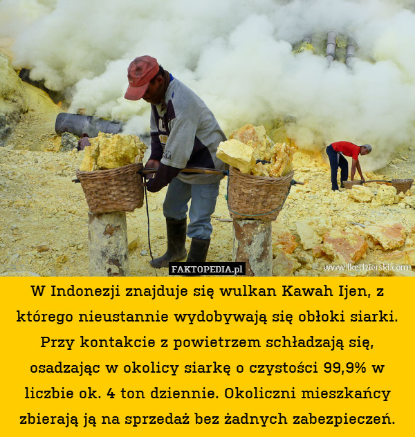 W Indonezji znajduje się wulkan Kawah Ijen, z którego nieustannie wydobywają się obłoki siarki. Przy kontakcie z powietrzem schładzają się, osadzając w okolicy siarkę o czystości 99,9% w liczbie ok. 4 ton dziennie. Okoliczni mieszkańcy zbierają ją na sprzedaż bez żadnych zabezpieczeń. 