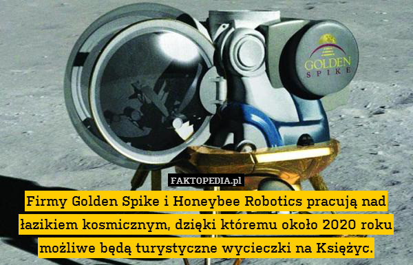Firmy Golden Spike i Honeybee Robotics pracują nad łazikiem kosmicznym, dzięki któremu około 2020 roku możliwe będą turystyczne wycieczki na Księżyc. 