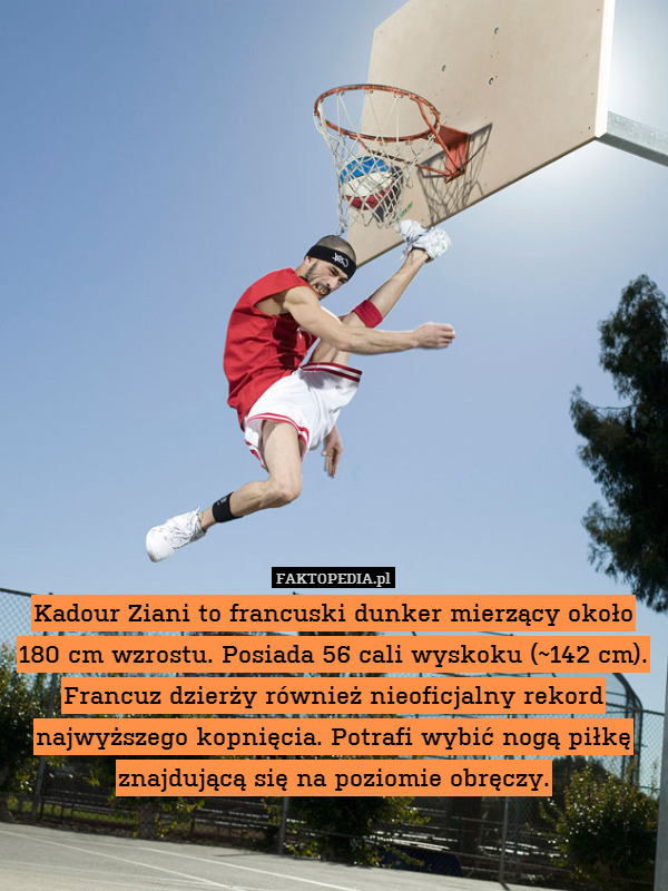 Kadour Ziani to francuski dunker mierzący około 180 cm wzrostu. Posiada 56 cali wyskoku (~142 cm).
Francuz dzierży również nieoficjalny rekord najwyższego kopnięcia. Potrafi wybić nogą piłkę znajdującą się na poziomie obręczy. 
