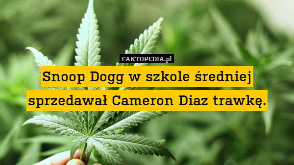Snoop Dogg w szkole średniej sprzedawał Cameron Diaz trawkę. 