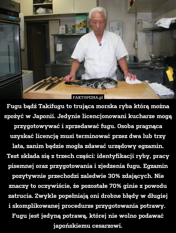 Fugu bądź Takifugu to trująca morska ryba którą można spożyć w Japonii. Jedynie licencjonowani kucharze mogą przygotowywać i sprzedawać fugu. Osoba pragnąca uzyskać licencję musi terminować przez dwa lub trzy lata, zanim będzie mogła zdawać urzędowy egzamin.
Test składa się z trzech części: identyfikacji ryby, pracy pisemnej oraz przygotowania i zjedzenia fugu. Egzamin pozytywnie przechodzi zaledwie 30% zdających. Nie znaczy to oczywiście, że pozostałe 70% ginie z powodu zatrucia. Zwykle popełniają oni drobne błędy w długiej
i skomplikowanej procedurze przygotowania potrawy. 
Fugu jest jedyną potrawą, której nie wolno podawać japońskiemu cesarzowi. 