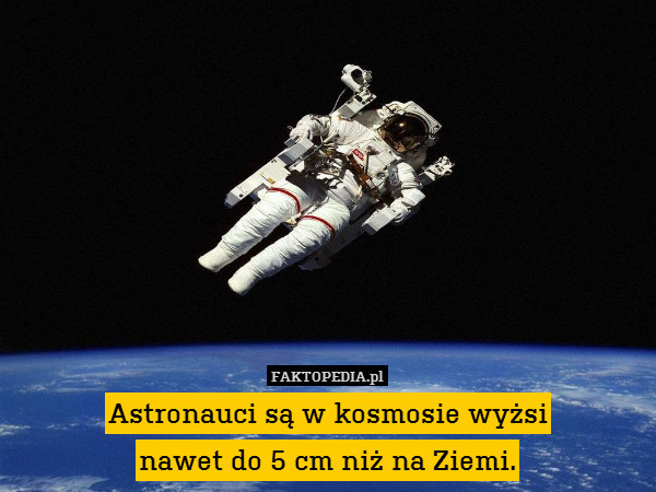 Astronauci są w kosmosie wyżsi
nawet do 5 cm niż na Ziemi. 