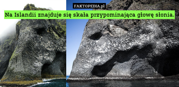 Na Islandii znajduje się skała przypominająca głowę słonia. 