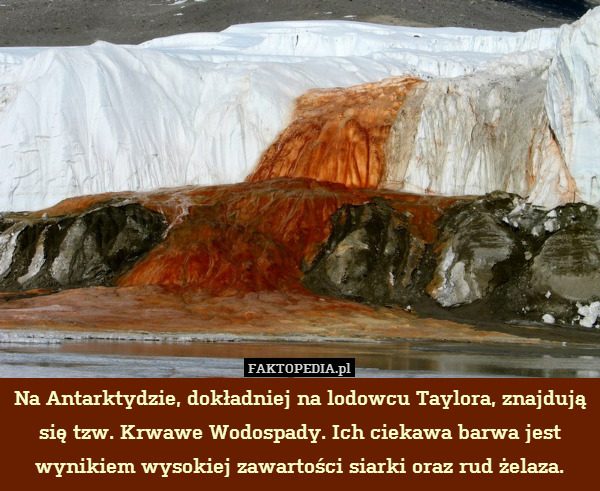Na Antarktydzie, dokładniej na lodowcu Taylora, znajdują się tzw. Krwawe Wodospady. Ich ciekawa barwa jest wynikiem wysokiej zawartości siarki oraz rud żelaza. 