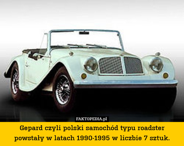 Gepard czyli polski samochód typu roadster powstały w latach 1990-1995 w liczbie 7 sztuk. 