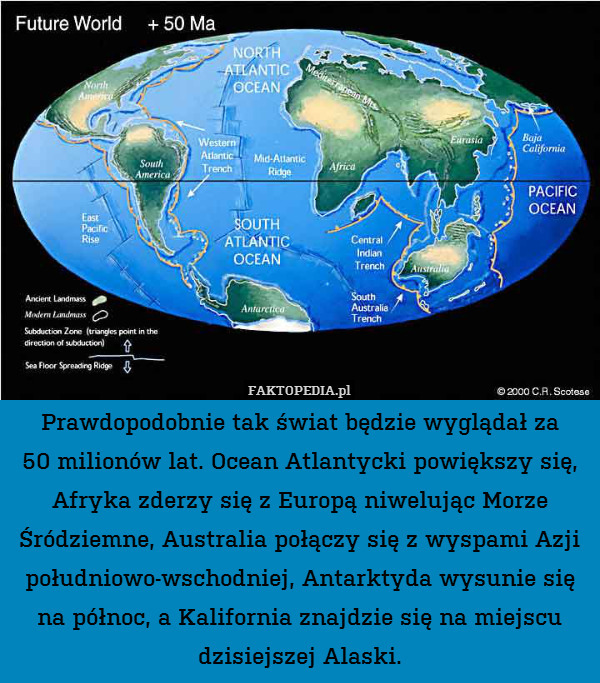 Prawdopodobnie tak świat będzie wyglądał za
50 milionów lat. Ocean Atlantycki powiększy się, Afryka zderzy się z Europą niwelując Morze Śródziemne, Australia połączy się z wyspami Azji południowo-wschodniej, Antarktyda wysunie się na północ, a Kalifornia znajdzie się na miejscu dzisiejszej Alaski. 