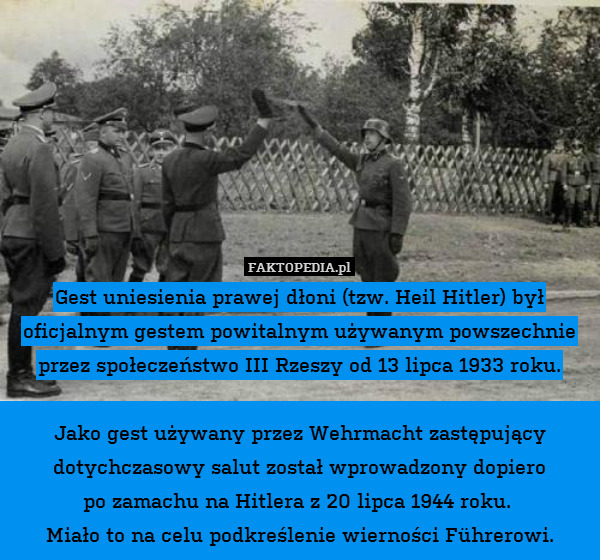Gest uniesienia prawej dłoni (tzw. Heil Hitler) był oficjalnym gestem powitalnym używanym powszechnie przez społeczeństwo III Rzeszy od 13 lipca 1933 roku.

Jako gest używany przez Wehrmacht zastępujący dotychczasowy salut został wprowadzony dopiero
po zamachu na Hitlera z 20 lipca 1944 roku. 
Miało to na celu podkreślenie wierności Führerowi. 