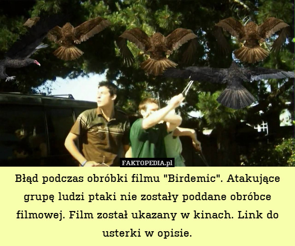 Błąd podczas obróbki filmu "Birdemic". Atakujące grupę ludzi ptaki nie zostały poddane obróbce filmowej. Film został ukazany w kinach. Link do usterki w opisie. 