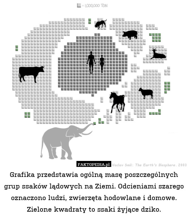 Grafika przedstawia ogólną masę poszczególnych grup ssaków lądowych na Ziemi. Odcieniami szarego oznaczono ludzi, zwierzęta hodowlane i domowe. Zielone kwadraty to ssaki żyjące dziko. 