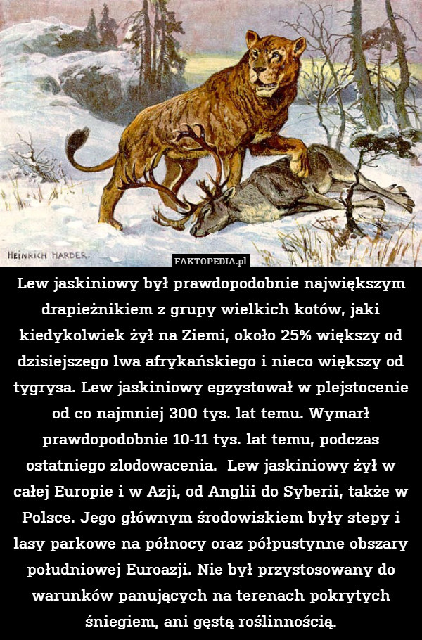 Lew jaskiniowy był prawdopodobnie największym drapieżnikiem z grupy wielkich kotów, jaki kiedykolwiek żył na Ziemi, około 25% większy od dzisiejszego lwa afrykańskiego i nieco większy od tygrysa. Lew jaskiniowy egzystował w plejstocenie od co najmniej 300 tys. lat temu. Wymarł prawdopodobnie 10-11 tys. lat temu, podczas ostatniego zlodowacenia.  Lew jaskiniowy żył w całej Europie i w Azji, od Anglii do Syberii, także w Polsce. Jego głównym środowiskiem były stepy i lasy parkowe na północy oraz półpustynne obszary południowej Euroazji. Nie był przystosowany do warunków panujących na terenach pokrytych śniegiem, ani gęstą roślinnością. 