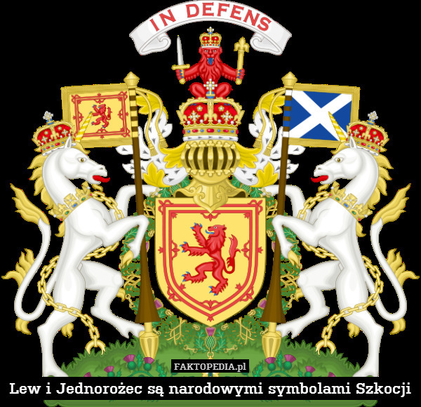 Lew i Jednorożec są narodowymi symbolami Szkocji 
