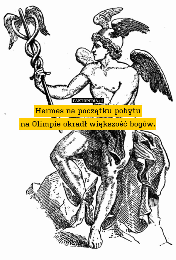 Hermes na początku pobytu
na Olimpie okradł większość bogów. 