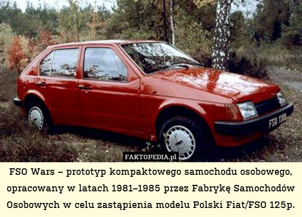 FSO Wars – prototyp kompaktowego samochodu osobowego, opracowany w latach 1981–1985 przez Fabrykę Samochodów Osobowych w celu zastąpienia modelu Polski Fiat/FSO 125p. 