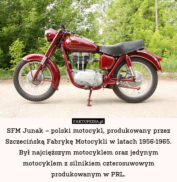 SFM Junak – polski motocykl, produkowany przez Szczecińską Fabrykę Motocykli w latach 1956-1965. Był najcięższym motocyklem oraz jedynym motocyklem z silnikiem czterosuwowym produkowanym w PRL. 