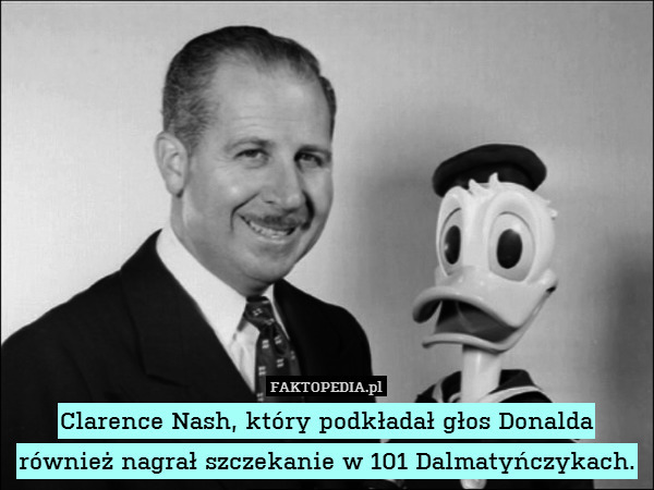 Clarence Nash, który podkładał głos Donalda również nagrał szczekanie w 101 Dalmatyńczykach. 