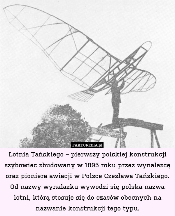 Lotnia Tańskiego – pierwszy polskiej konstrukcji szybowiec zbudowany w 1895 roku przez wynalazcę oraz pioniera awiacji w Polsce Czesława Tańskiego. Od nazwy wynalazku wywodzi się polska nazwa lotni, którą stosuje się do czasów obecnych na nazwanie konstrukcji tego typu. 