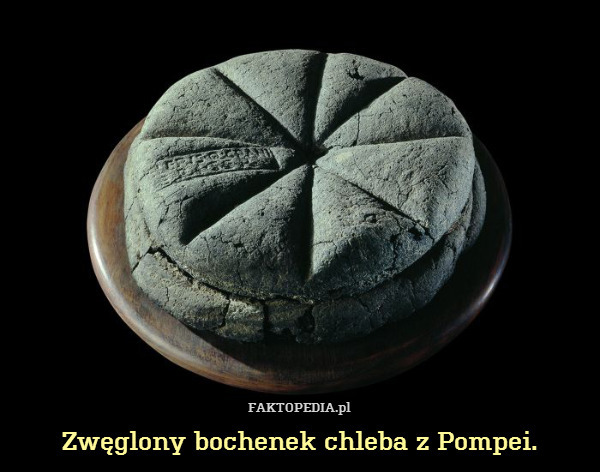 Zwęglony bochenek chleba z Pompei. 