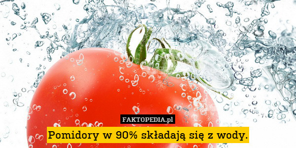 Pomidory w 90% składają się z wody. 