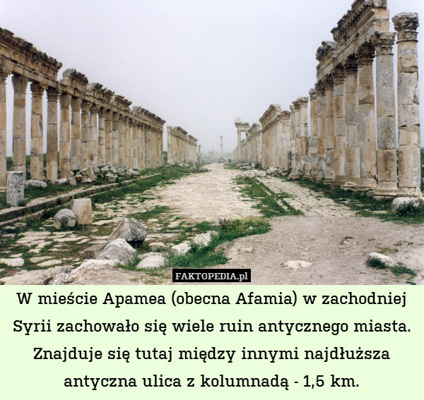 W mieście Apamea (obecna Afamia) w zachodniej Syrii zachowało się wiele ruin antycznego miasta. Znajduje się tutaj między innymi najdłuższa antyczna ulica z kolumnadą - 1,5 km. 