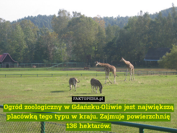 Ogród zoologiczny w Gdańsku-Oliwie jest największą placówką tego typu w kraju. Zajmuje powierzchnię 136 hektarów. 