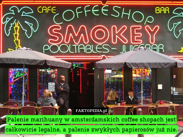 Palenie marihuany w amsterdamskich – Palenie marihuany w amsterdamskich coffee shopach jest całkowicie legalne, a palenie zwykłych papierosów już nie 
