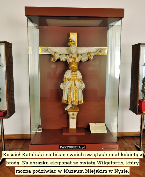 Kościół Katolicki na liście swoich świętych miał kobietę z brodą. Na obrazku eksponat ze świętą Wilgefortis, który można podziwiać w Muzeum Miejskim w Nysie. 
