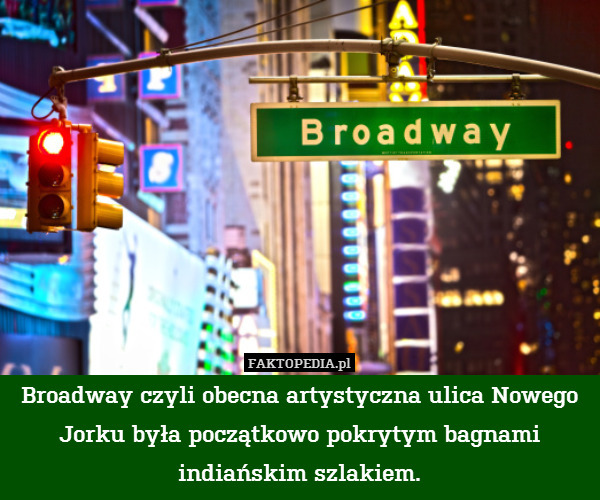 Broadway czyli obecna artystyczna ulica Nowego Jorku była początkowo pokrytym bagnami indiańskim szlakiem. 