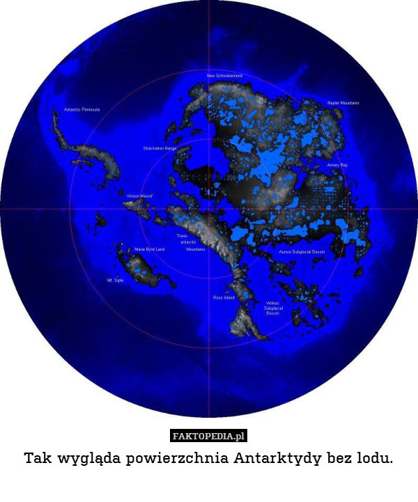 Tak wygląda powierzchnia Antarktydy bez lodu. 