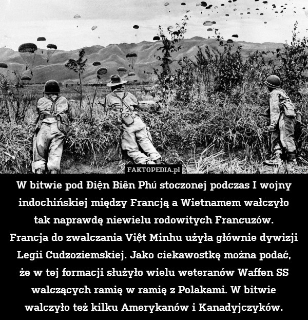 W bitwie pod Điện Biên Phủ stoczonej podczas I wojny indochińskiej między Francją a Wietnamem wałczyło
tak naprawdę niewielu rodowitych Francuzów.
Francja do zwalczania Việt Minhu użyła głównie dywizji Legii Cudzoziemskiej. Jako ciekawostkę można podać,
że w tej formacji służyło wielu weteranów Waffen SS walczących ramię w ramię z Polakami. W bitwie
walczyło też kilku Amerykanów i Kanadyjczyków. 