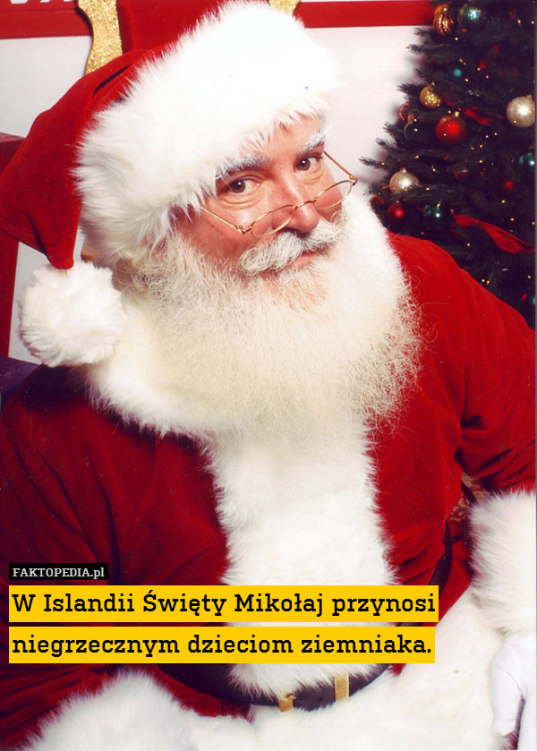W Islandii Święty Mikołaj przynosi niegrzecznym dzieciom ziemniaka. 