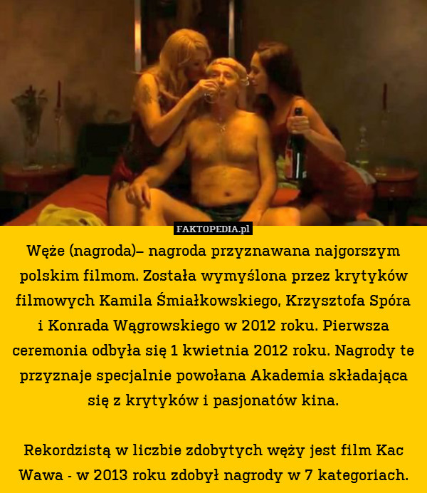 Węże (nagroda)– nagroda przyznawana najgorszym polskim filmom. Została wymyślona przez krytyków filmowych Kamila Śmiałkowskiego, Krzysztofa Spóra
i Konrada Wągrowskiego w 2012 roku. Pierwsza ceremonia odbyła się 1 kwietnia 2012 roku. Nagrody te przyznaje specjalnie powołana Akademia składająca się z krytyków i pasjonatów kina.

Rekordzistą w liczbie zdobytych węży jest film Kac Wawa - w 2013 roku zdobył nagrody w 7 kategoriach. 