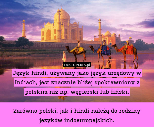 Język hindi, używany jako język urzędowy w Indiach, jest znacznie bliżej spokrewniony z polskim niż np. węgierski lub fiński.

Zarówno polski, jak i hindi należą do rodziny języków indoeuropejskich. 