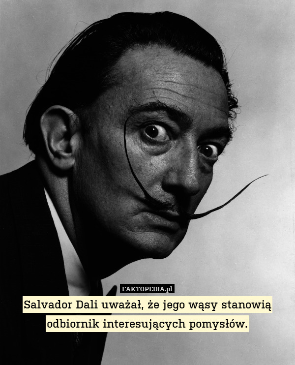 Salvador Dali uważał, że jego wąsy stanowią odbiornik interesujących pomysłów. 