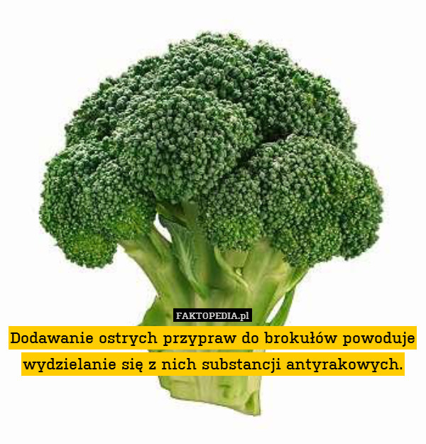 Dodawanie ostrych przypraw do brokułów powoduje wydzielanie się z nich substancji antyrakowych. 