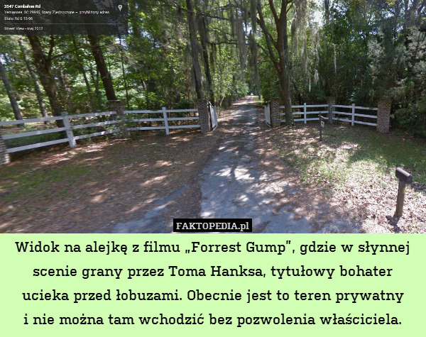 Widok na alejkę z filmu „Forrest Gump”, gdzie w słynnej scenie grany przez Toma Hanksa, tytułowy bohater ucieka przed łobuzami. Obecnie jest to teren prywatny
i nie można tam wchodzić bez pozwolenia właściciela. 