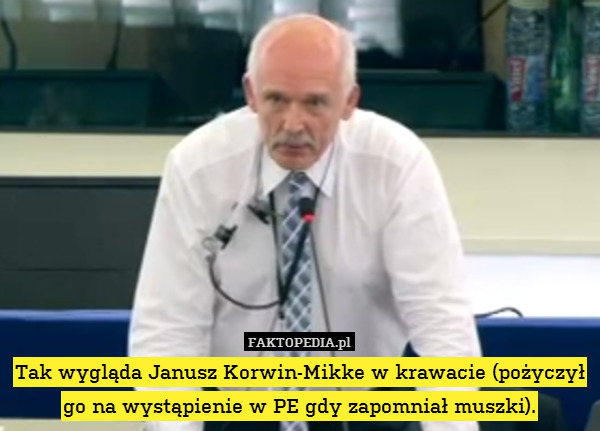 Tak wygląda Janusz Korwin-Mikke w krawacie (pożyczył go na wystąpienie w PE gdy zapomniał muszki). 