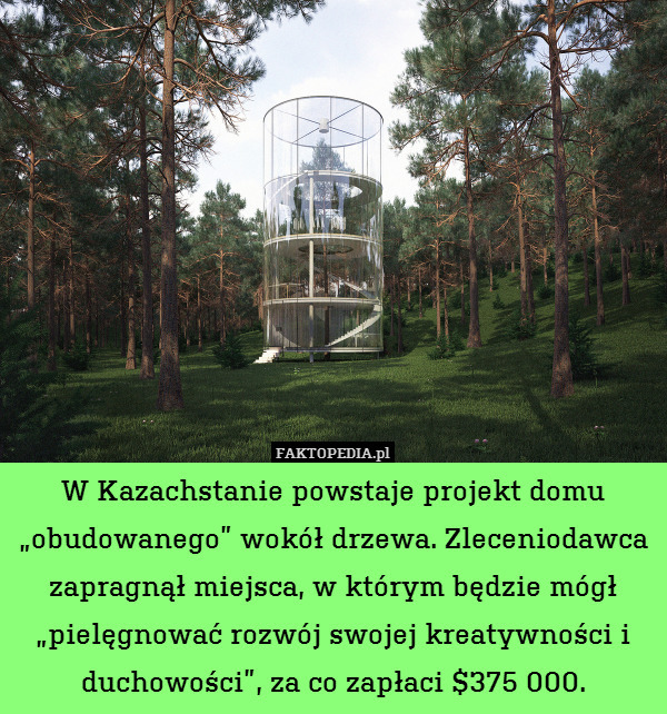 W Kazachstanie powstaje projekt domu „obudowanego” wokół drzewa. Zleceniodawca zapragnął miejsca, w którym będzie mógł „pielęgnować rozwój swojej kreatywności i duchowości”, za co zapłaci $375 000. 
