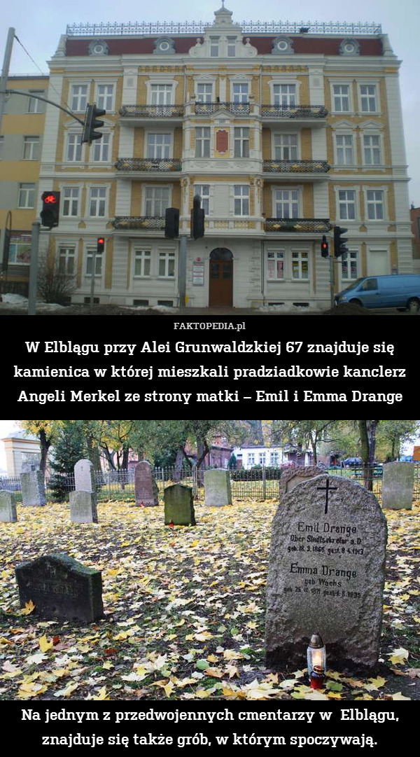 W Elblągu przy Alei Grunwaldzkiej 67 znajduje się kamienica w której mieszkali pradziadkowie kanclerz Angeli Merkel ze strony matki – Emil i Emma Drange












Na jednym z przedwojennych cmentarzy w  Elblągu, znajduje się także grób, w którym spoczywają. 