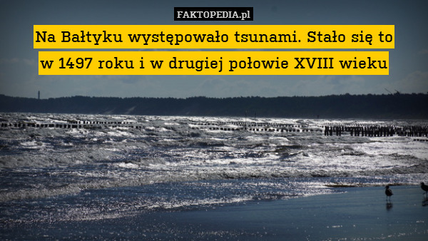 Na Bałtyku występowało tsunami. Stało się to
w 1497 roku i w drugiej połowie XVIII wieku 