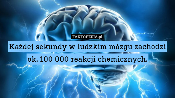 Każdej sekundy w ludzkim mózgu zachodzi ok. 100 000 reakcji chemicznych. 