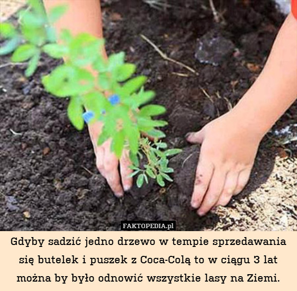 Gdyby sadzić jedno drzewo w tempie sprzedawania się butelek i puszek z Coca-Colą to w ciągu 3 lat można by było odnowić wszystkie lasy na Ziemi. 