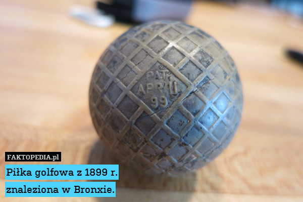 Piłka golfowa z 1899 r.
znaleziona w Bronxie. 