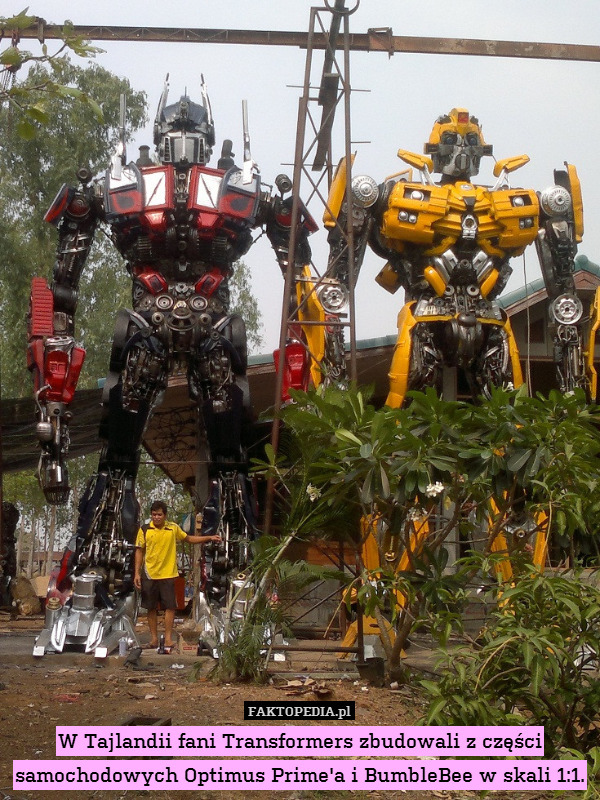 W Tajlandii fani Transformers zbudowali z części samochodowych Optimus Prime&apos;a i BumbleBee w skali 1:1. 