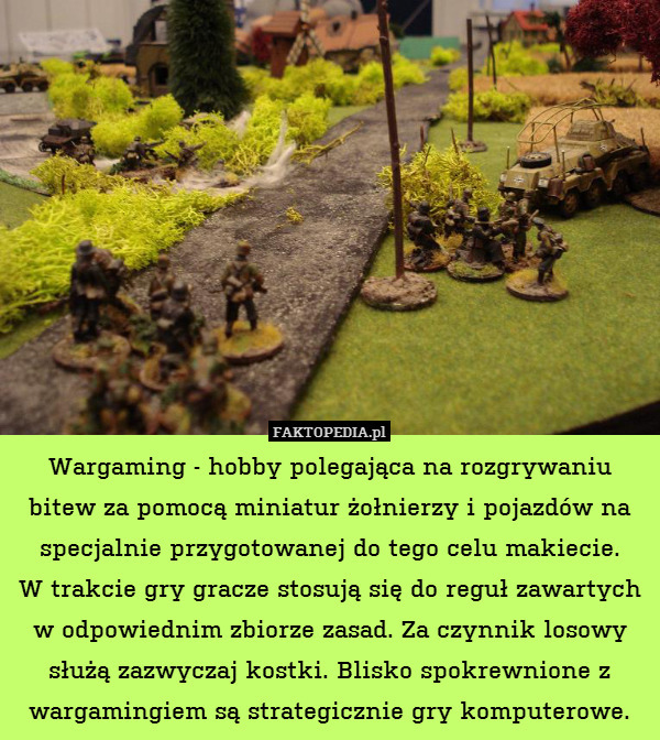 Wargaming - hobby polegająca na rozgrywaniu bitew za pomocą miniatur żołnierzy i pojazdów na specjalnie przygotowanej do tego celu makiecie.
W trakcie gry gracze stosują się do reguł zawartych w odpowiednim zbiorze zasad. Za czynnik losowy służą zazwyczaj kostki. Blisko spokrewnione z wargamingiem są strategicznie gry komputerowe. 