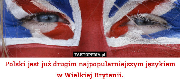 Polski jest już drugim najpopularniejszym językiem w Wielkiej Brytanii. 