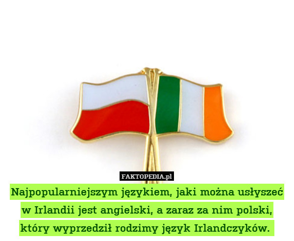 Najpopularniejszym językiem, jaki można usłyszeć w Irlandii jest angielski, a zaraz za nim polski, który wyprzedził rodzimy język Irlandczyków. 