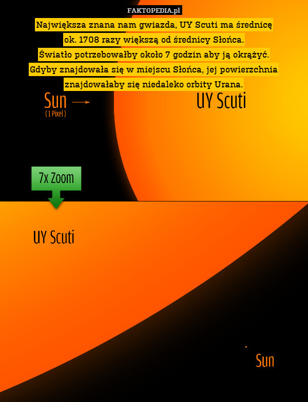 Największa znana nam gwiazda, UY Scuti ma średnicę
ok. 1708 razy większą od średnicy Słońca.
Światło potrzebowałby około 7 godzin aby ją okrążyć.
Gdyby znajdowała się w miejscu Słońca, jej powierzchnia znajdowałaby się niedaleko orbity Urana. 