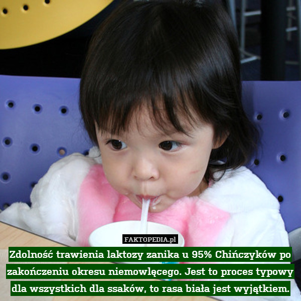 Zdolność trawienia laktozy zanika u 95% Chińczyków po zakończeniu okresu niemowlęcego. Jest to proces typowy dla wszystkich dla ssaków, to rasa biała jest wyjątkiem. 