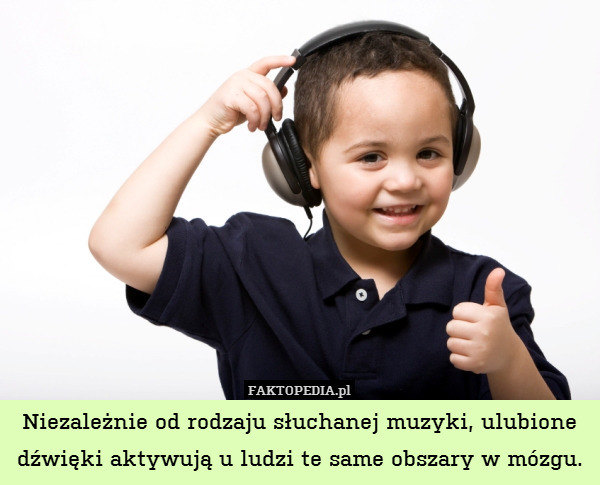 Niezależnie od rodzaju słuchanej muzyki, ulubione dźwięki aktywują u ludzi te same obszary w mózgu. 