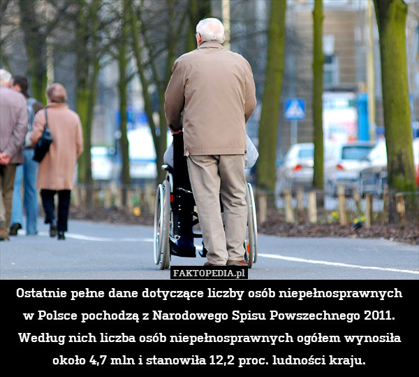 Ostatnie pełne dane dotyczące liczby osób niepełnosprawnych
w Polsce pochodzą z Narodowego Spisu Powszechnego 2011. Według nich liczba osób niepełnosprawnych ogółem wynosiła około 4,7 mln i stanowiła 12,2 proc. ludności kraju. 